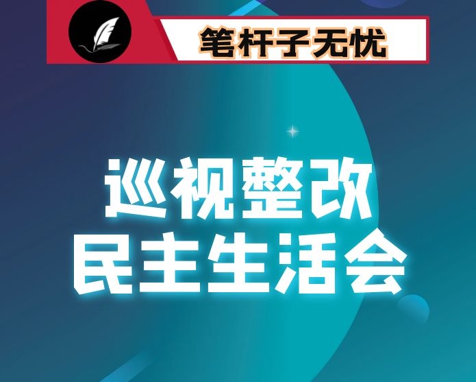 巡视整改专题民主生活会上的总结