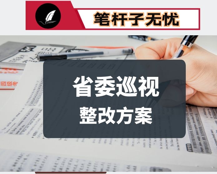 省委巡视组反馈意见整改落实方案