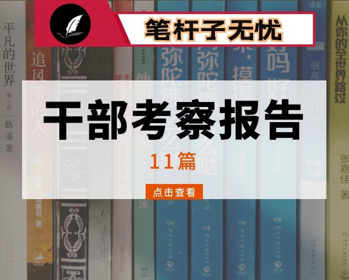 干部考察情况报告11篇