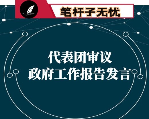 在代表团审议政府工作报告时的发言