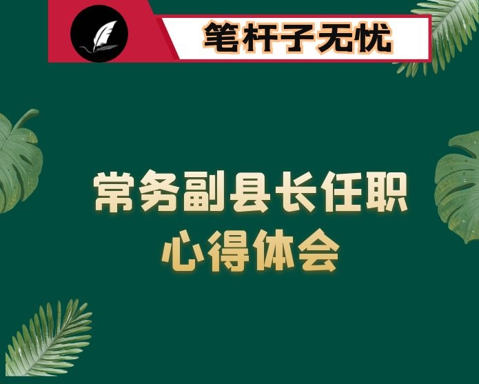 政府常务副县长任职工作心得体会