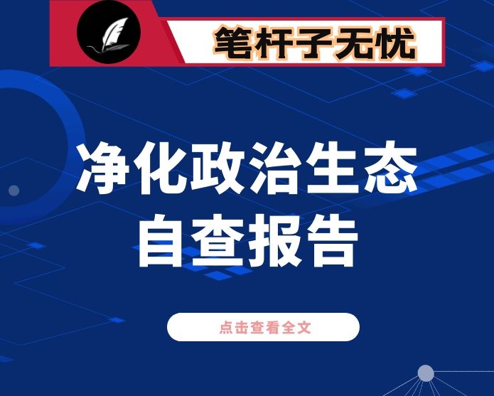 公司关于净化政治生态问题的自查报告