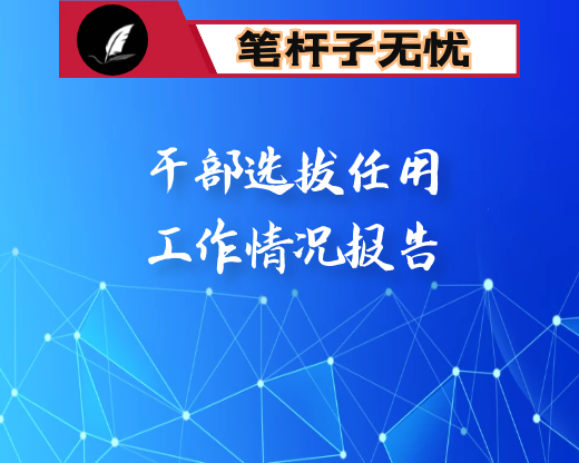 2020年度干部选拔任用工作情况报告