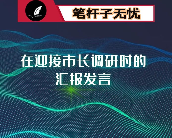 在迎接市长调研时的汇报发言