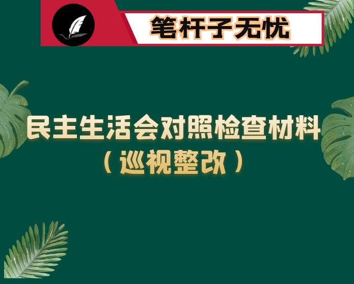 区委书记民主生活会对照检查材料（巡视整改）