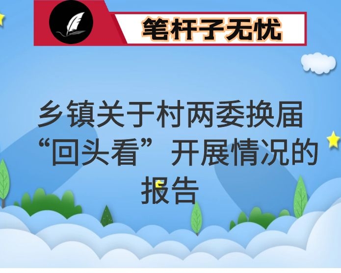 乡镇关于村两委换届“回头看”开展情况的报告
