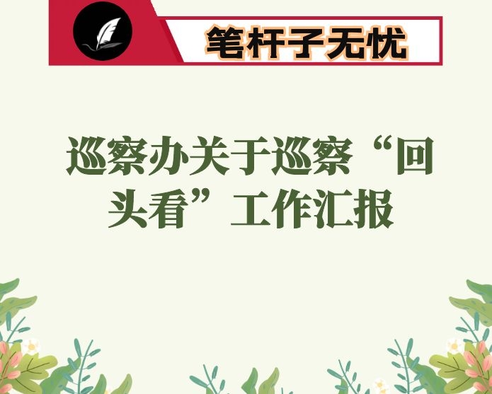 巡察办关于巡察“回头看”工作有关情况汇报