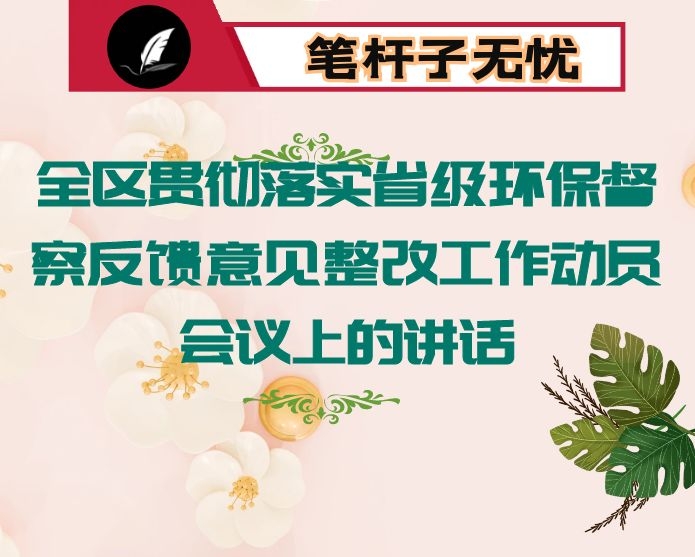 在全区贯彻落实省级环保督察反馈意见整改工作动员会议上的讲话