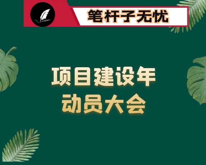 在全市项目建设年动员大会上的讲话
