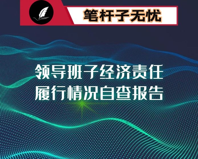 领导班子经济责任履行情况自查报告