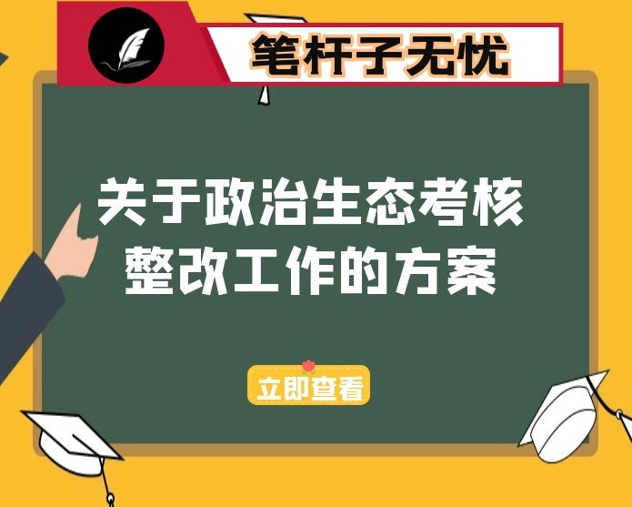 关于政治生态考核整改工作的方案