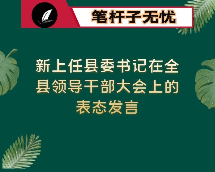 新上任县委书记在全县领导干部大会上的表态发言