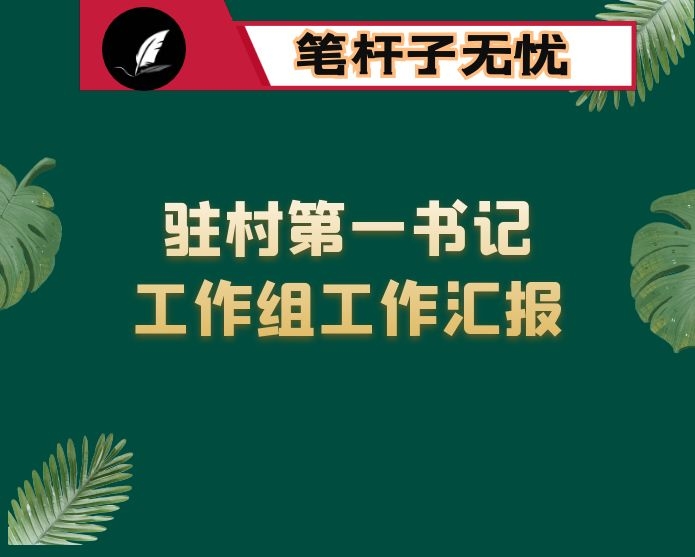 驻村第一书记工作组工作汇报