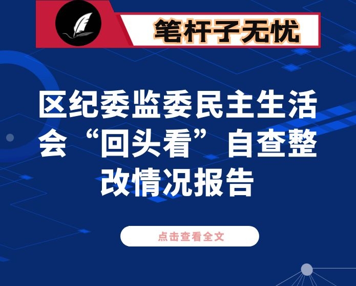 区纪委监委民主生活会“回头看”自查整改情况报告