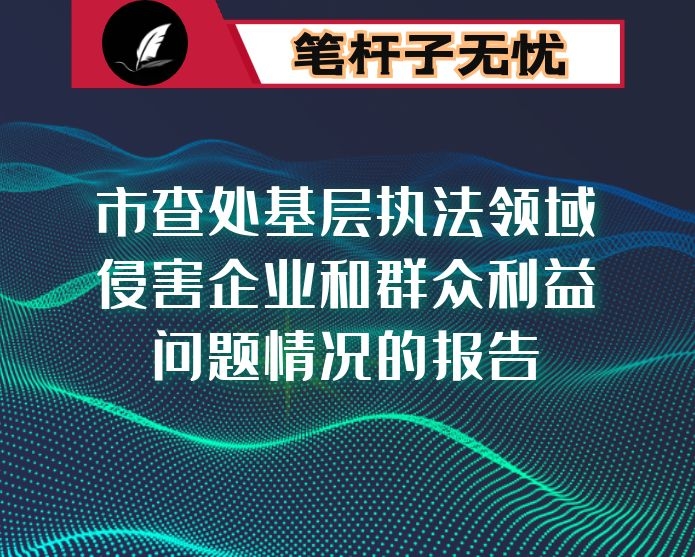 市查处基层执法领域侵害企业和群众利益问题情况的报告