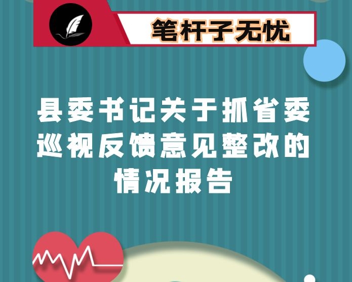 县委书记关于抓省委巡视反馈意见整改的情况报告