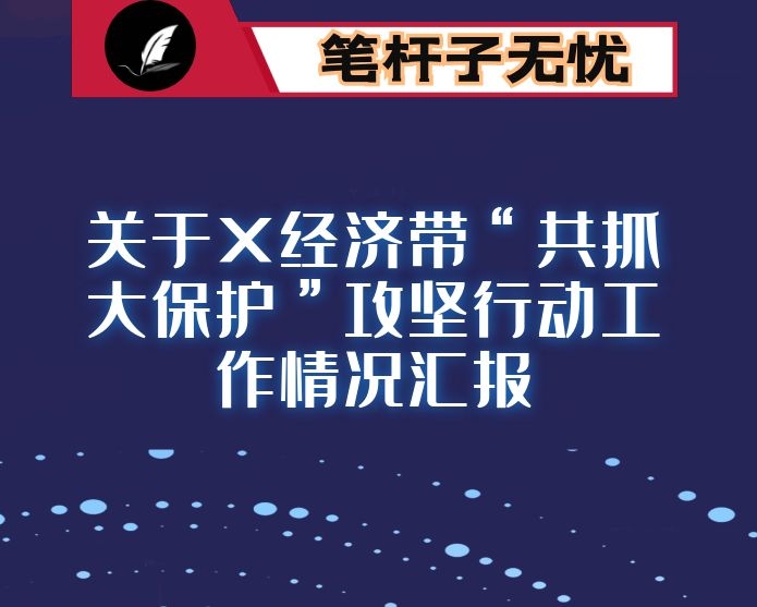 关于X经济带“共抓大保护”攻坚行动工作情况汇报