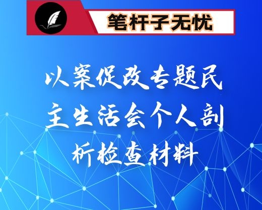 以案促改专题民主生活会个人剖析检查材料