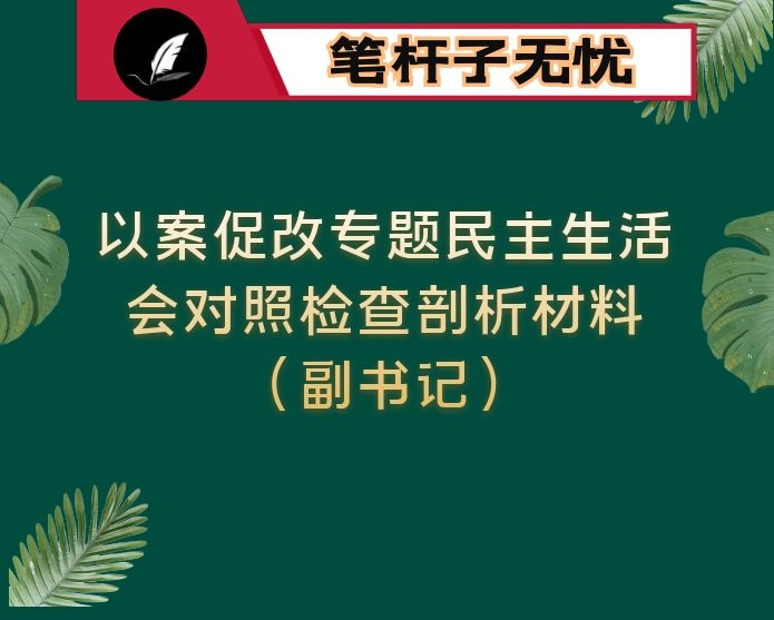 以案促改专题民主生活会对照检查剖析材料（副书记）