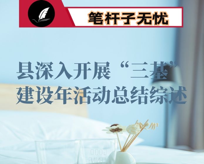 县深入开展“三基”建设年活动总结综述