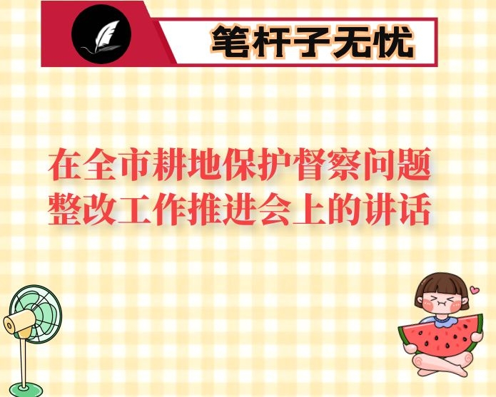 在全市耕地保护督察问题整改工作推进会上的讲话