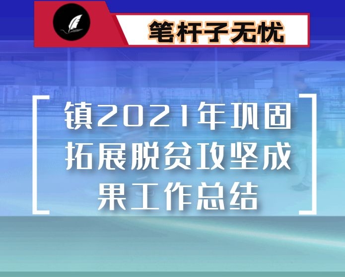 镇2021年巩固拓展脱贫攻坚成果工作总结