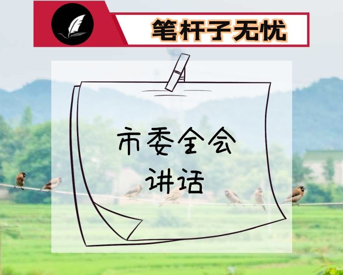 市委全会讲话