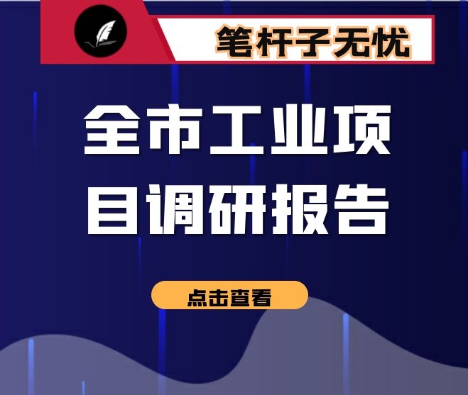 全市工业项目调研报告