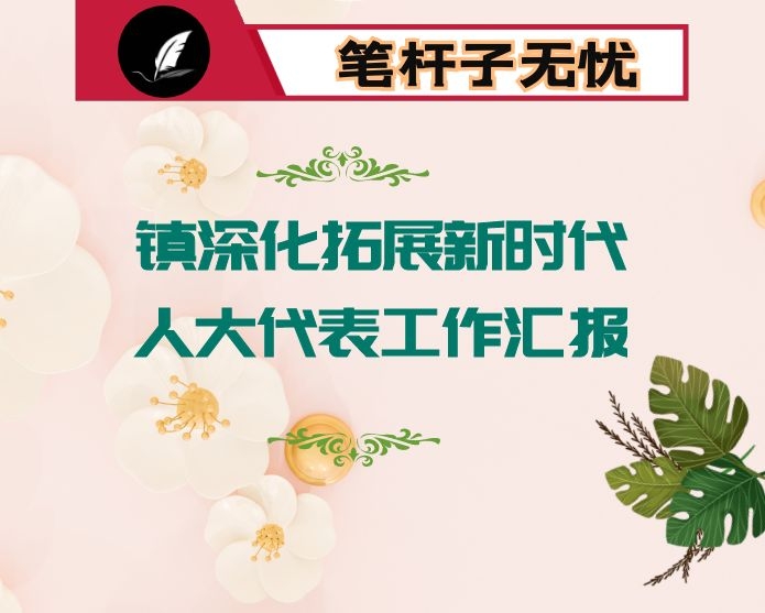 镇深化拓展新时代人大代表工作汇报
