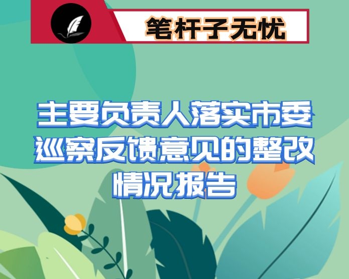 主要负责人落实市委巡察反馈意见的整改情况报告