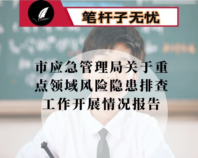 市应急管理局关于重点领域风险隐患排查工作开展情况报告