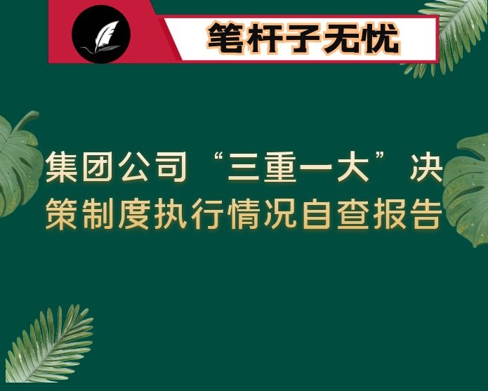 集团公司“三重一大”决策制度执行情况自查报告