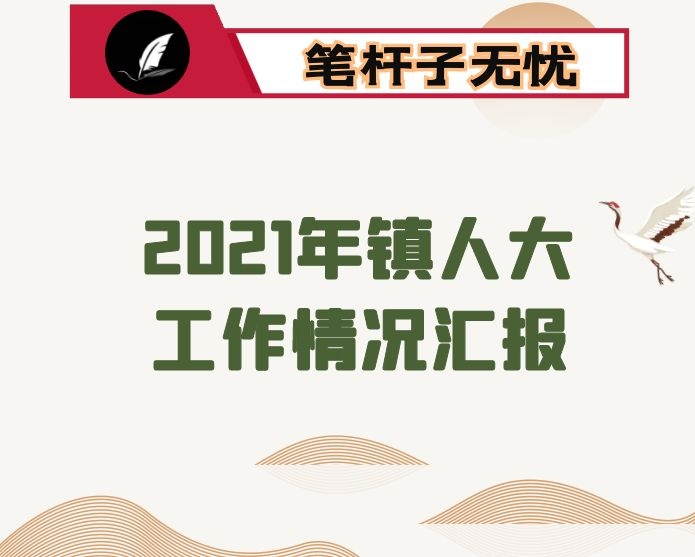 2021年镇人大工作情况汇报