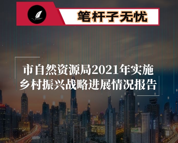 市自然资源局2021年实施乡村振兴战略进展情况报告