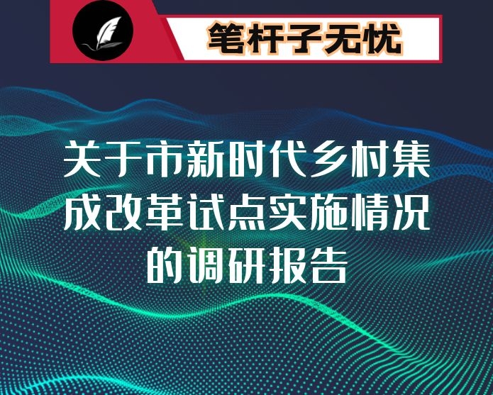 关于市新时代乡村集成改革试点实施情况的调研报告