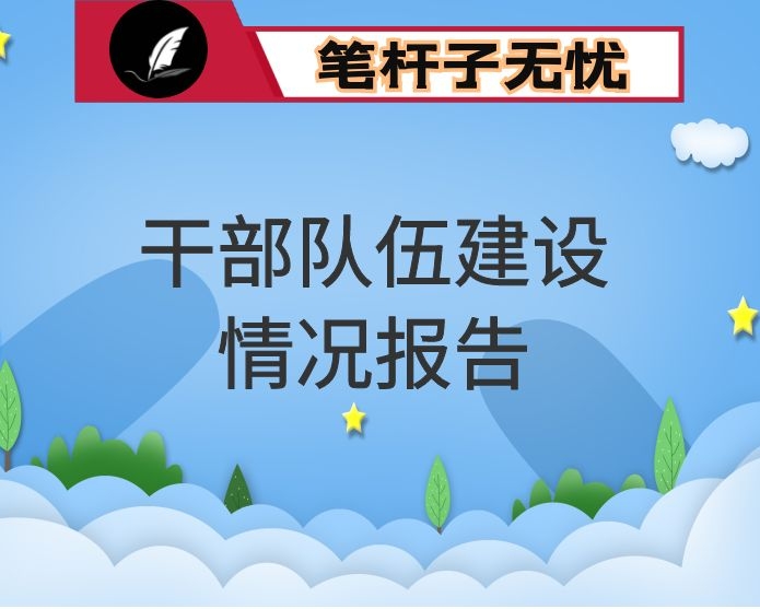 干部队伍建设情况报告