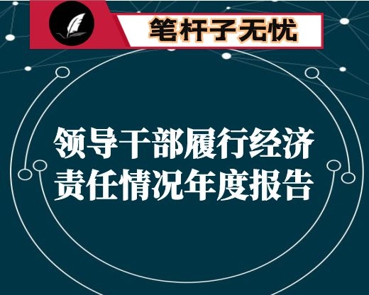 领导干部履行经济责任情况年度报告