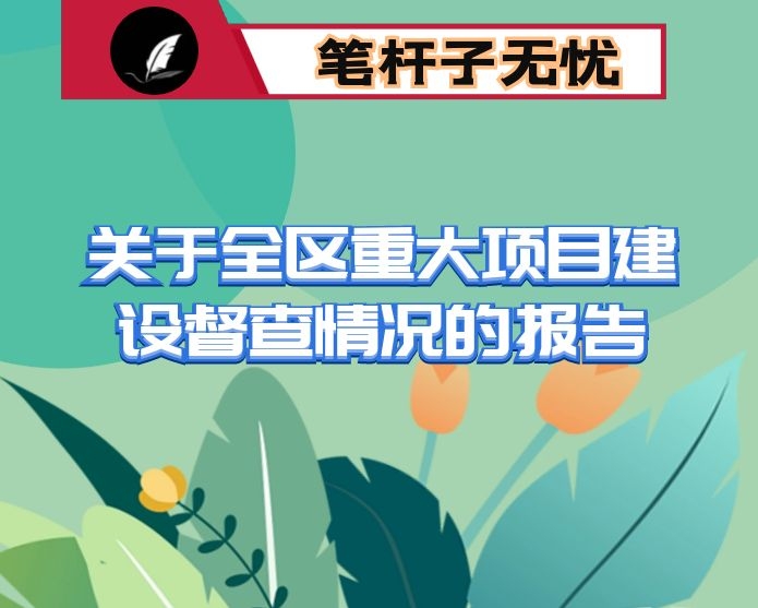 关于全区重大项目建设督查情况的报告