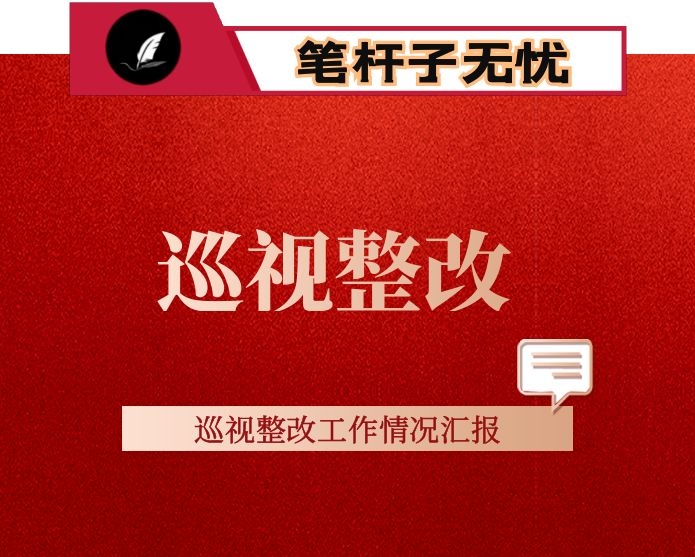 市民政局巡察整改工作报告