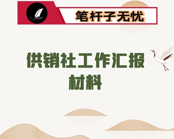 供销社工作汇报材料