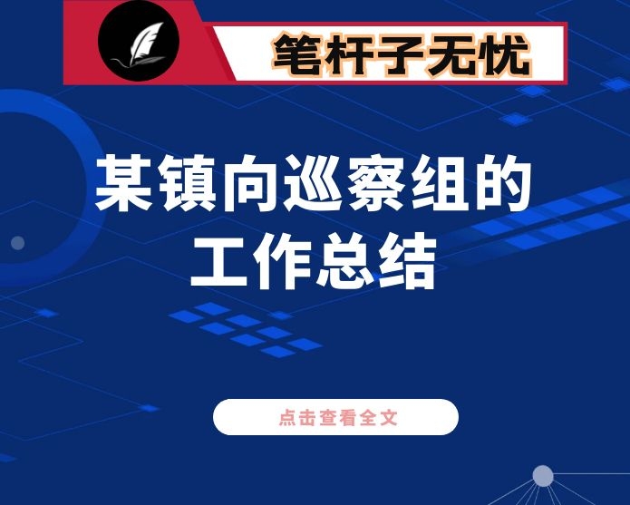 某镇向巡察组的工作总结汇报