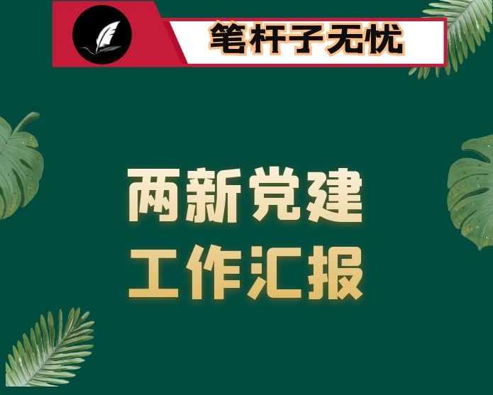 两新党建工作汇报