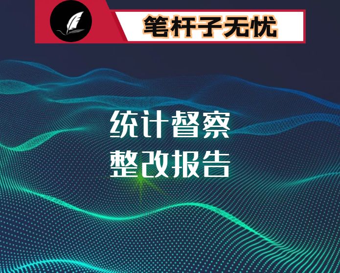 镇关于统计督察反馈问题整改情况的报告