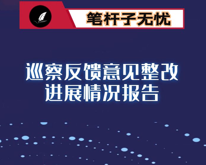 某局关于市委巡察反馈问题整改情况的报告