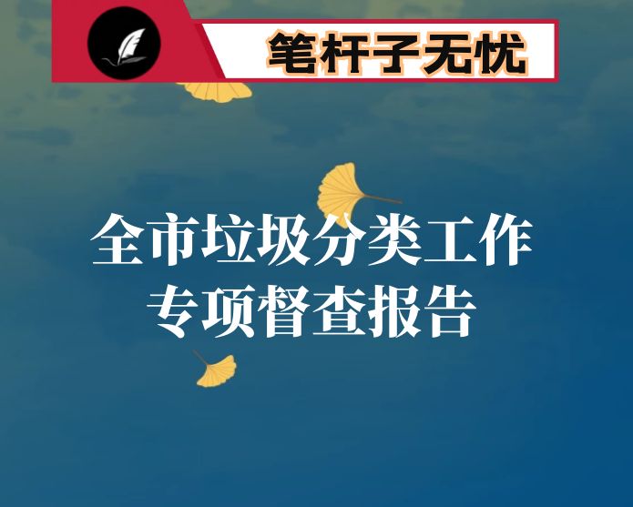 全市垃圾分类工作专项督查报告