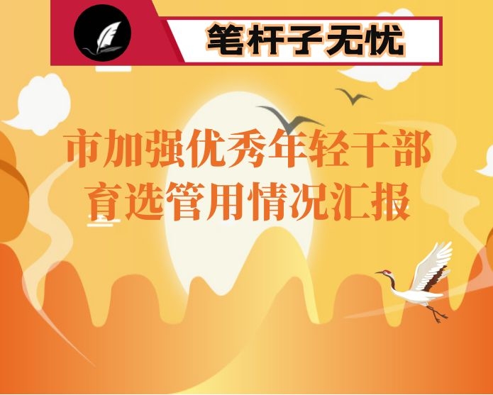 市加强优秀年轻干部育选管用情况汇报